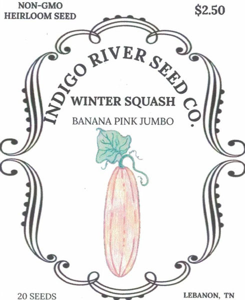 Squash - Banana Pink Jumbo Winter
