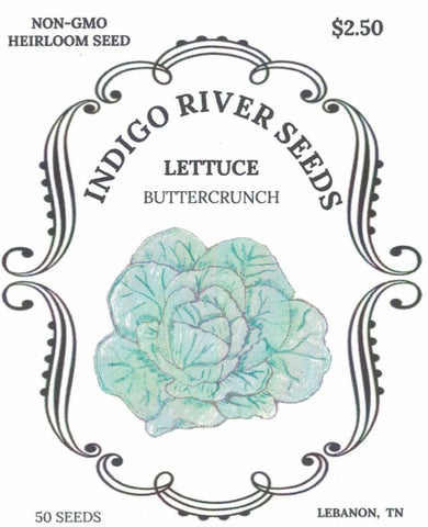 Lettuce - Buttercrunch