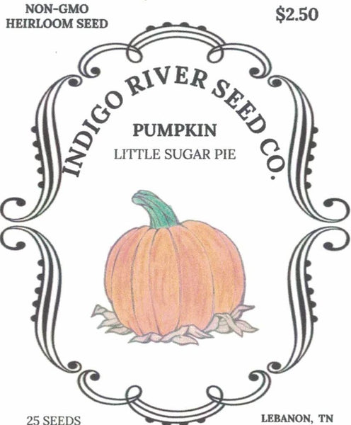 Pumpkin - Little Baby Sugar Pie