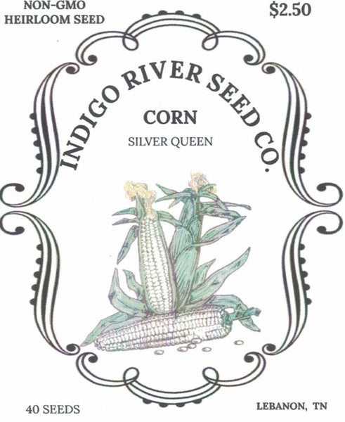Corn - Silver Queen