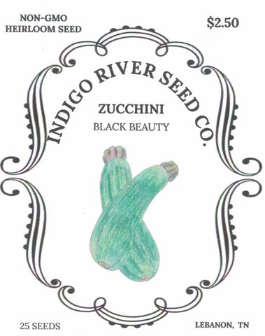 Zucchini - Black Beauty